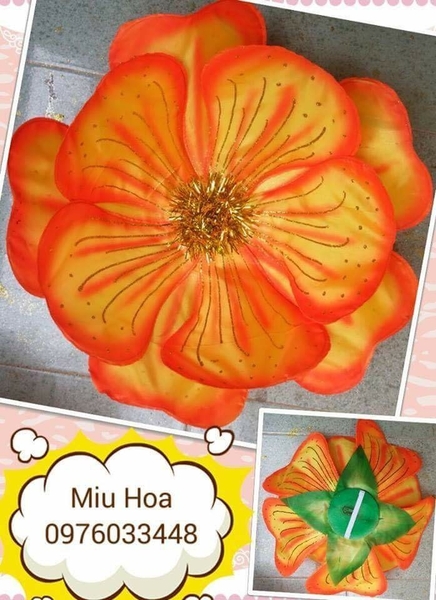 hoa-mua-mau-39