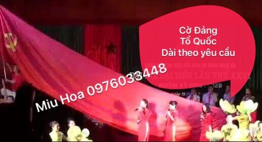 co-dang-to-quoc