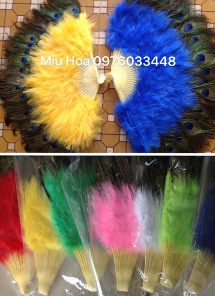 quat-cong