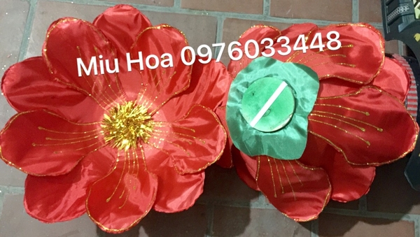 hoa-mua-mau-78