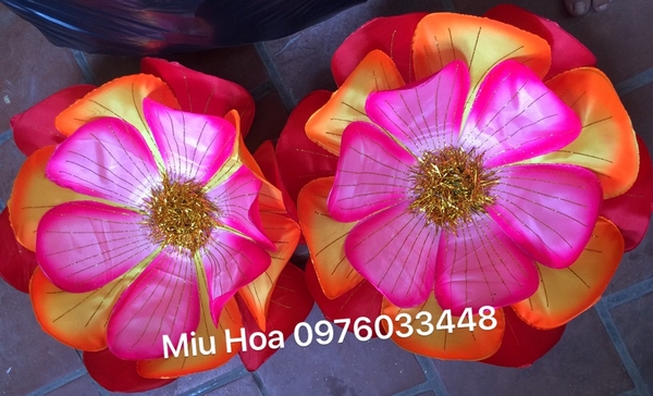 hoa-mua-mau-81