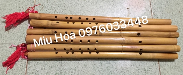 sao-truc