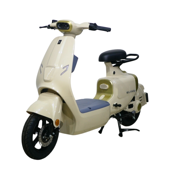 Xe điện Ally Elyas