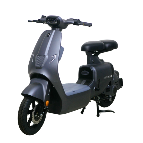 Xe điện Ally Elyas