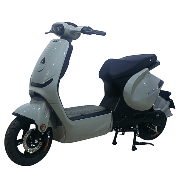 Xe điện Ally Elyas 9