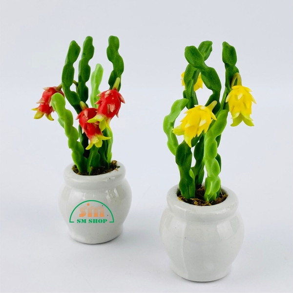 Chậu cây ăn trái đất sét 426399