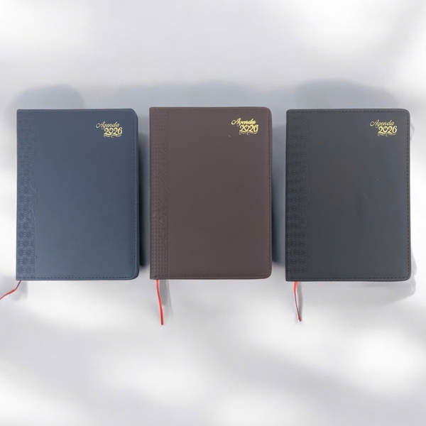 Sổ lịch Agenda HTS1 14.5x20.5cm 192 trang
