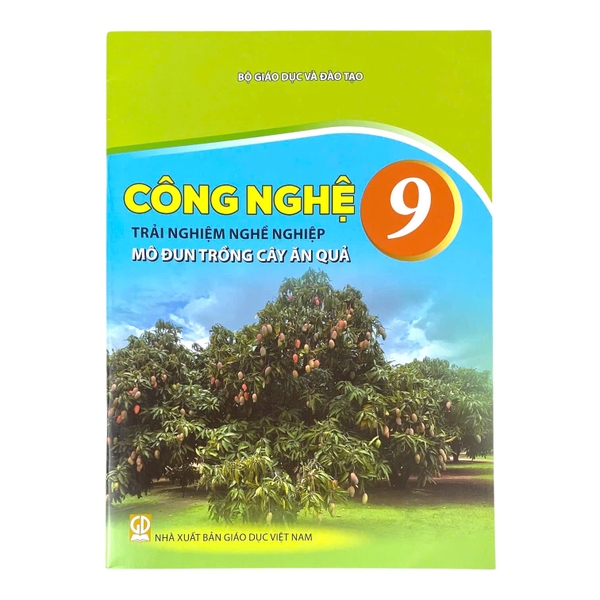 Sách Công Nghệ Lớp 9 Mô đun trồng cây ăn quả - Kết nối tri thức với cuộc sống, Sách bài học, Sách giáo khoa
