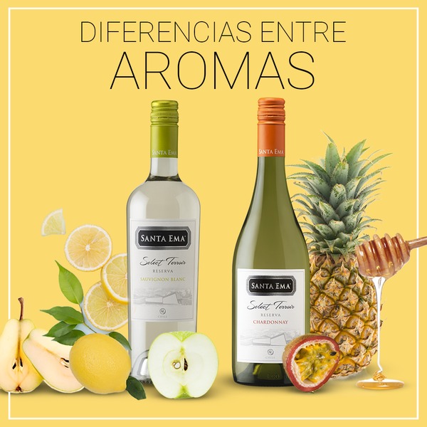 Rượu vang Santa Ema Select Terroir Chardonnay và Sauvignon Blanc.