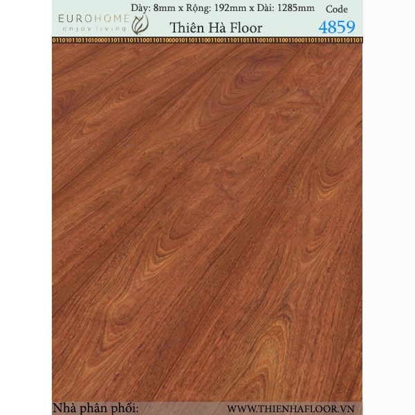 Sàn gỗ Euro-Home 4859