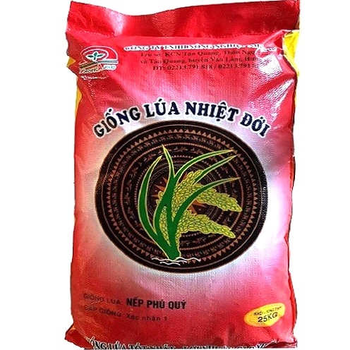Hạt giống lúa: Nếp Phú Quý