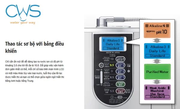 Cấu tạo và Chức năng Hiển thị Màu nền