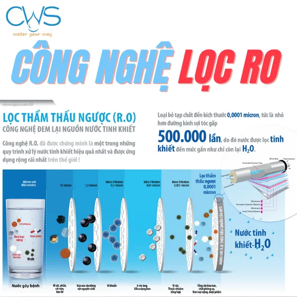 Cơ Chế Lọc Thẩm Thấu Ngược – Loại Bỏ 99,99% Tạp Chất Có Hại