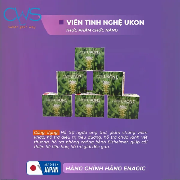 Công Dụng Của Viên Nghệ TURMERIC KANGEN UKON SIGMA