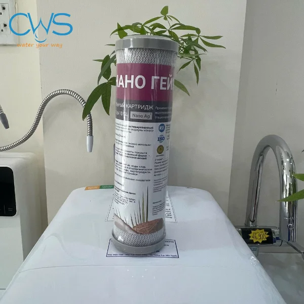 Hình Ảnh Thực Tế Lõi Lọc CBC 0,6-10SL Nano Ag Premium