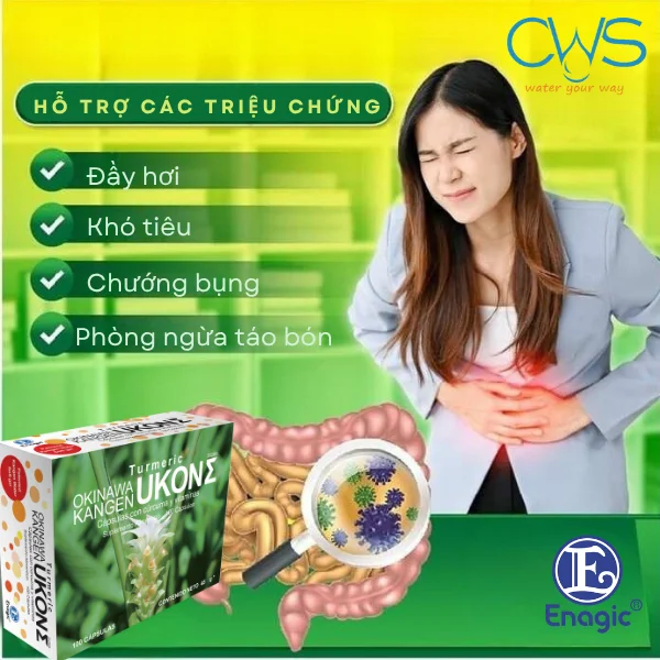 Hỗ trợ cải thiện tiêu hóa, giảm khó tiêu và tăng cường hấp thu
