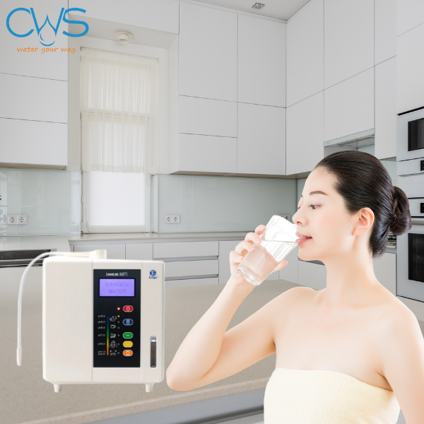 Máy lọc nước ion kiềm GE Leveluk SD501DX