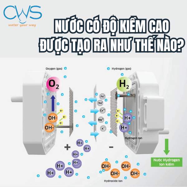 Nước Có Độ Kiềm Cao Được Tạo Ra Như Thế Nào