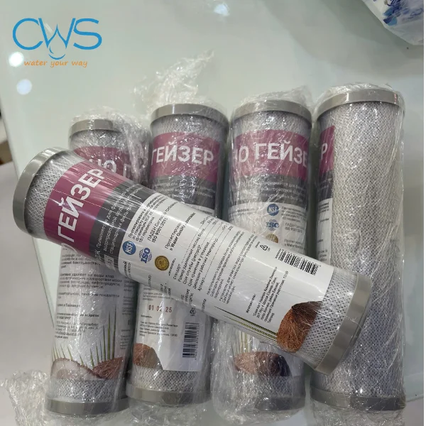 Sản Phẩm Lõi Lọc CBC 0,6-10SL Nano Ag Premium