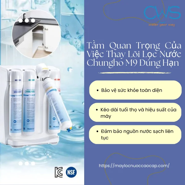 Tầm Quan Trọng Của Việc Thay Lõi Lọc Nước Chungho M9 Đúng Hạn