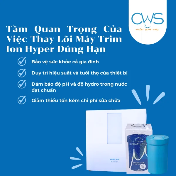 Tầm Quan Trọng Của Việc Thay Lõi Máy Trim Ion Hyper Đúng Hạn