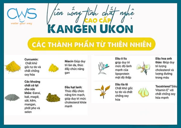 Thành Phần Chính Của Viên Nghệ TURMERIC KANGEN UKON SIGMA