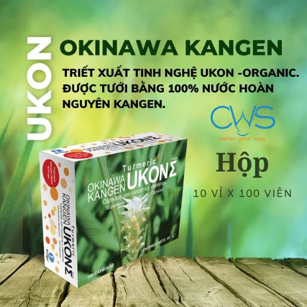 Viên Nghệ TURMERIC KANGEN UKON SIGMA - Chăm Sóc Sức Khỏe Và Làn Da