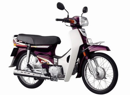 bo-nhua-dream-vn