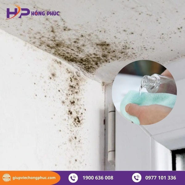 Bật mí cách tẩy mốc trần nhà đơn giản nhất