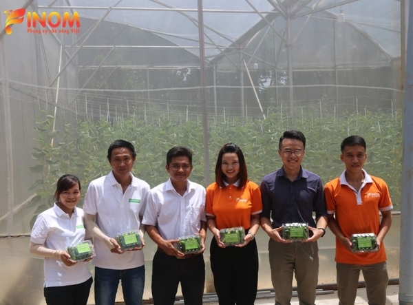 Turn-key project for hydroponic vegetable cultivation in Dong Nai