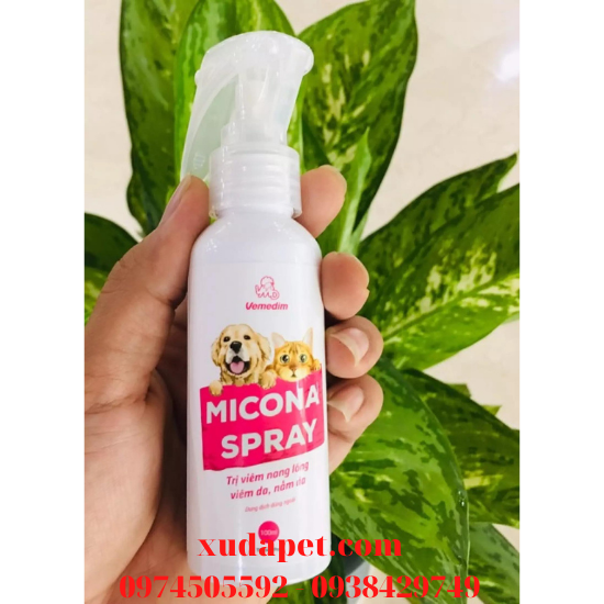 Thuốc xịt trị nấm da, viêm da, viêm nang lông Micona - SP005310