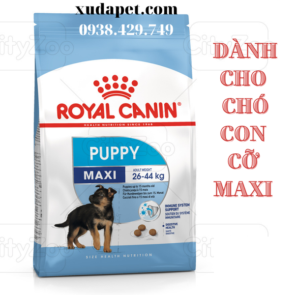 THỨC ĂN HẠT ROYAL CANIN MAXI PUPPY Dành cho chó kích cỡ Maxi (cân nặng tối đa từ 26 - 44kg) và đang trong lứa tuổi Puppy từ 2 đến 15 tháng tuổi. - SP000435