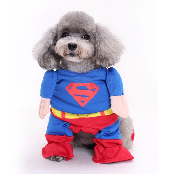 COSPLAY SIÊU NHÂN CHO CHÓ MÈO