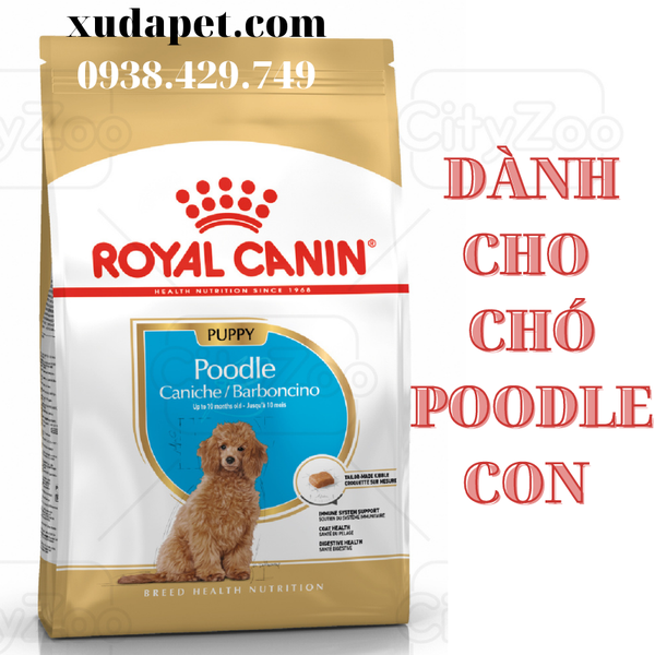 THỨC ĂN HẠT ROYAL CANIN POODLE PUPPY DÀNH RIÊNG CHO GIỐNG CHÓ POODLE DƯỚI 10 THÁNG TUỔI - SP000425