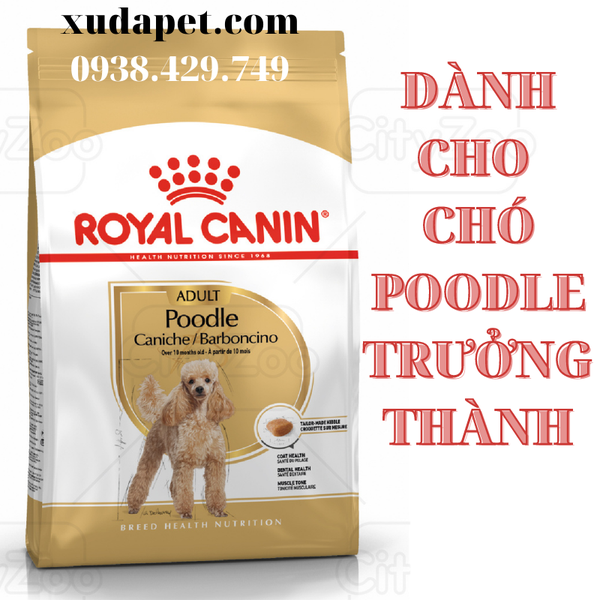 THỨC ĂN ROYAL CANIN POODLE ADULT dành riêng cho giống chó Poodle trên 10 tháng tuổi - SP000423