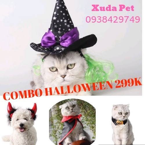 COMBO ĐỒ HÓA TRANG HALLOWEEN CHO BOSS