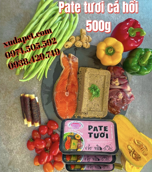 Pate Tươi Gà Cá Hồi Cho Chó Mèo Nguyên Chất 100% Hộp 500g - SP005431