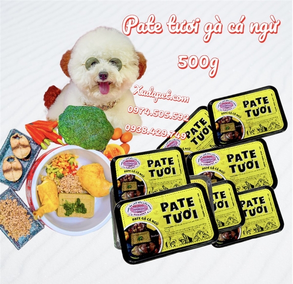 [Hỏa Tốc HCM] Pate Tươi Cho Chó Mèo Gà Cá Ngừ Nguyên Chất 100% Hộp 500g - SP005429