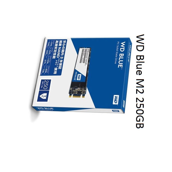 Ổ cứng 250GB SSD M2-SATA Western Digital WD Blue 2280