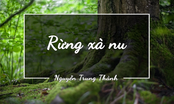 RỪNG XÀ NU - NGUYỄN TRUNG THÀNH | StudyCare Education Rừng Xà Nu - Nguyễn Trung Thành | Studycare Education