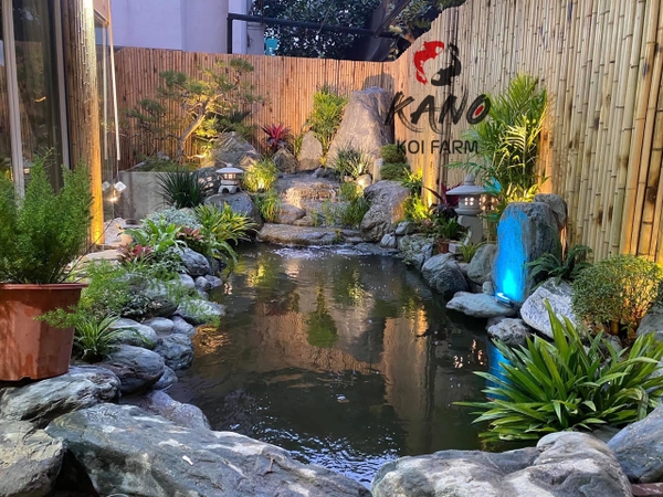 Kano Koi Farm: Sứ mệnh của chúng tôi tại Kano Koi Farm là cung cấp những cá Koi đẹp nhất, khỏe nhất và nguồn gốc rõ ràng nhất cho khách hàng của mình. Bạn sẽ không tìm thấy những loài cá Koi tuyệt vời hơn ở bất kỳ nơi nào khác. Nếu bạn là một người yêu thích cá Koi, hãy đến với Kano Koi Farm và khám phá thế giới này ngay hôm nay.