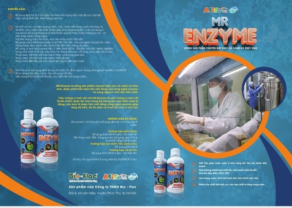 MR ENZYME trị nấm, tảo