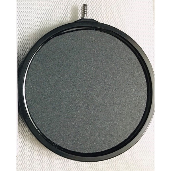 Sủi đĩa mịn đường kính 20cm