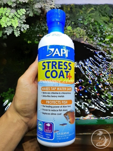 Dung dịch Api Stress Coat dưỡng cá, giảm stress ở cá, khử kim loại nặng, phục hồi vết thương cá