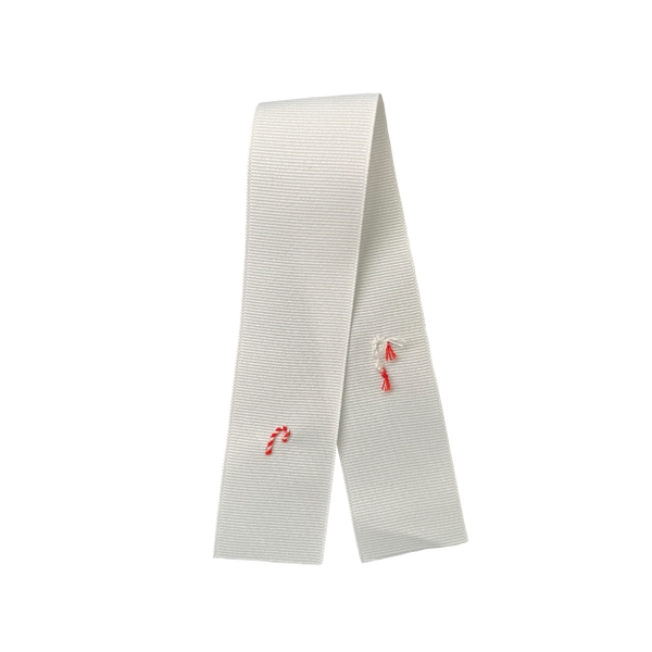 Hand embroidery ribbon BBW005