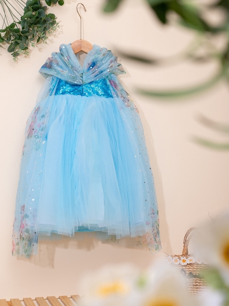 Frozen Elsa Princess Dress Bunniti CCD288