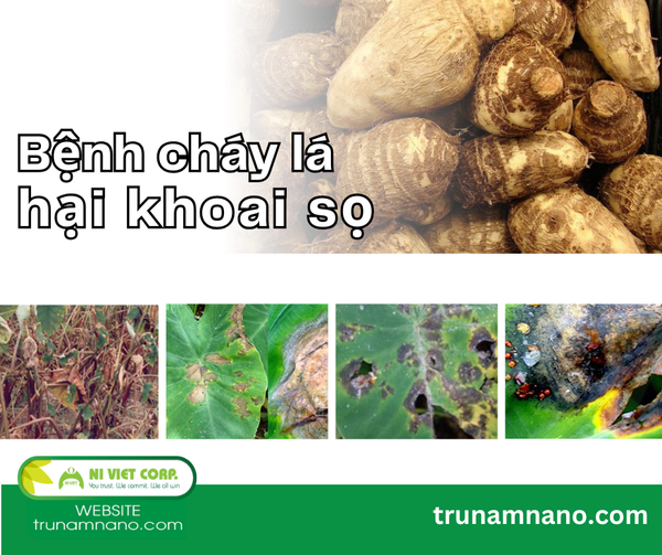 benh-chay-la-hai-khoai-so
