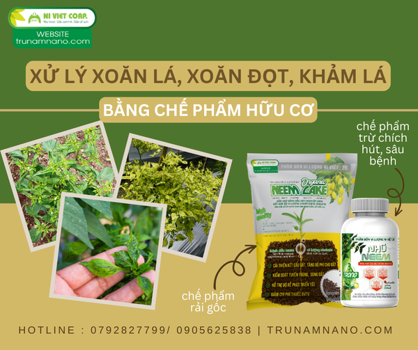 xu-ly-xoan-la-kham-la-ot