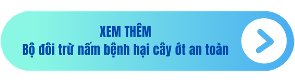 bo-doi-phong-tri-benh-hai-ot