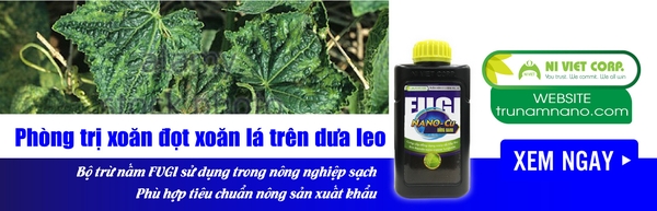 cach-phong-tri-benh-xoan-dot-xoan-la-hai-dua-leo-thuy-canh